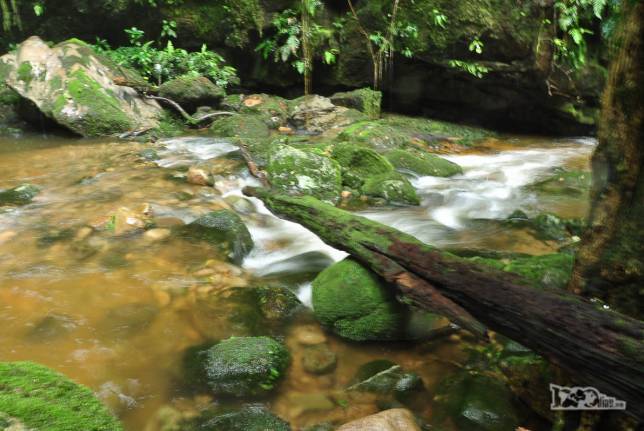 Riacho corta a Mata Atlântica na região de Antonina, litoral do Paraná